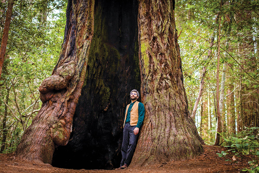 Connor Devane stands in Redwood Trees