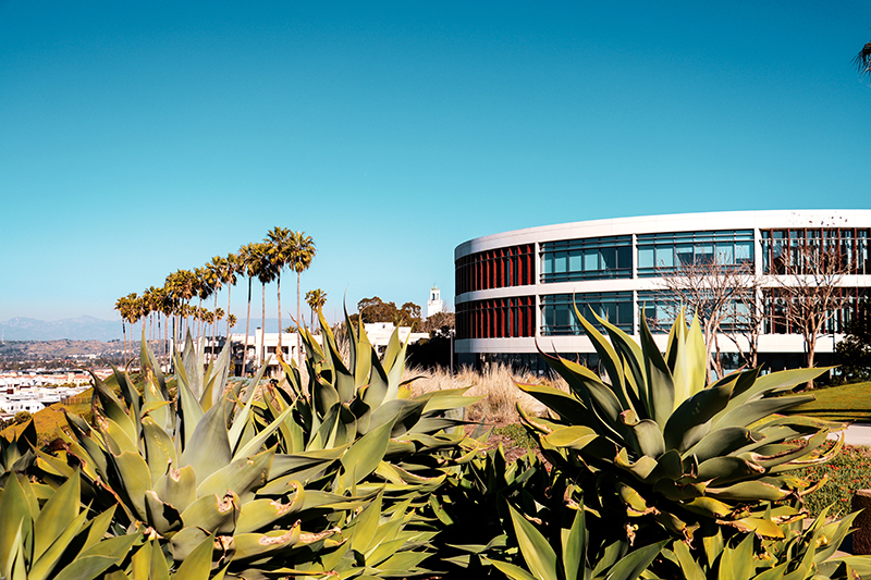 LMU's library on the bluff.