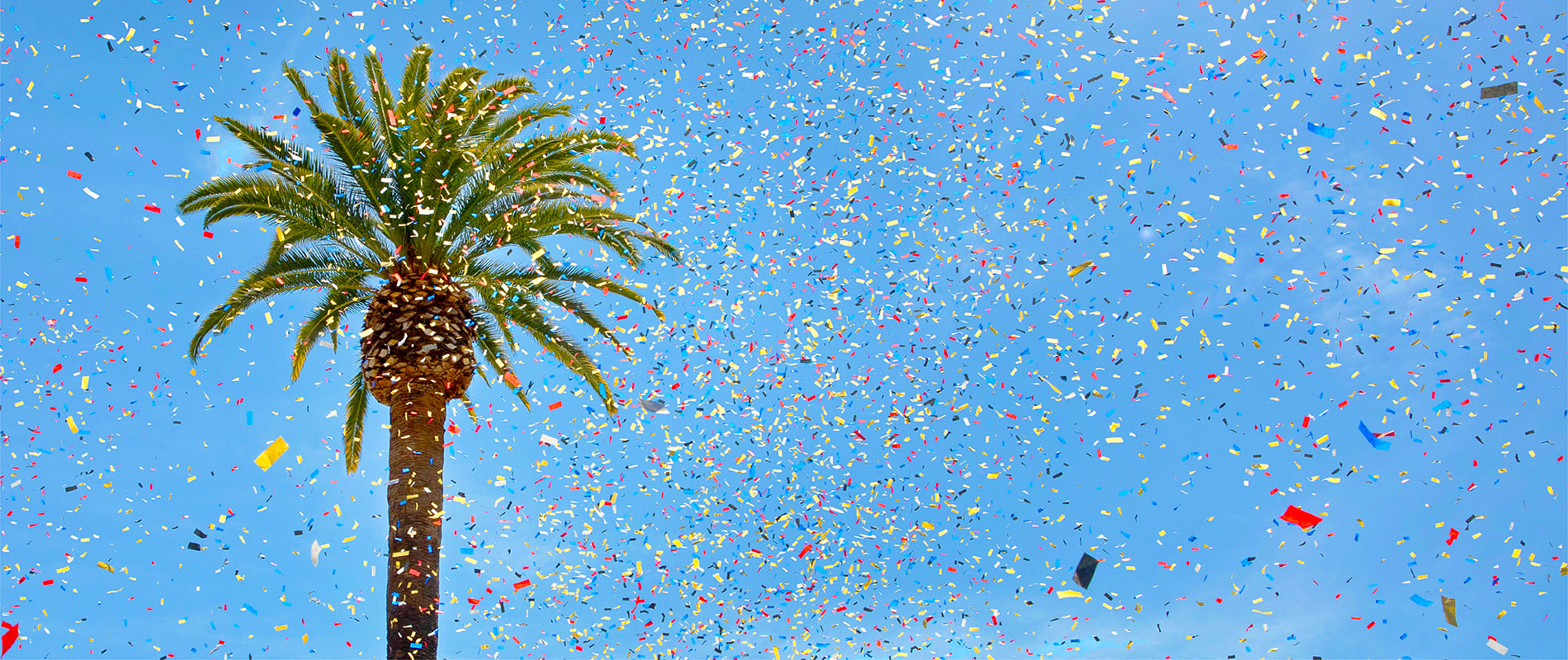 Confetti flying in the air in front of palm trees in LMU Sunken Garden